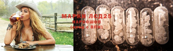 амф Аркадак